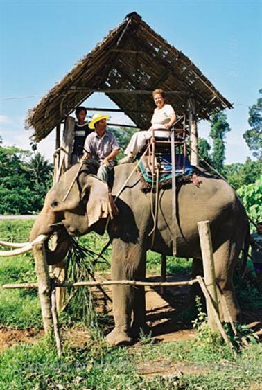 14 Thailand 2002 F1060023 Khao Lak Ausflug Elefantentrekking_478